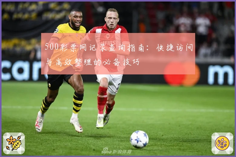 500彩票网记录查询指南：快捷访问与高效整理的必备技巧