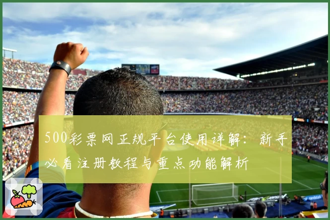 500彩票网正规平台使用详解：新手必看注册教程与重点功能解析