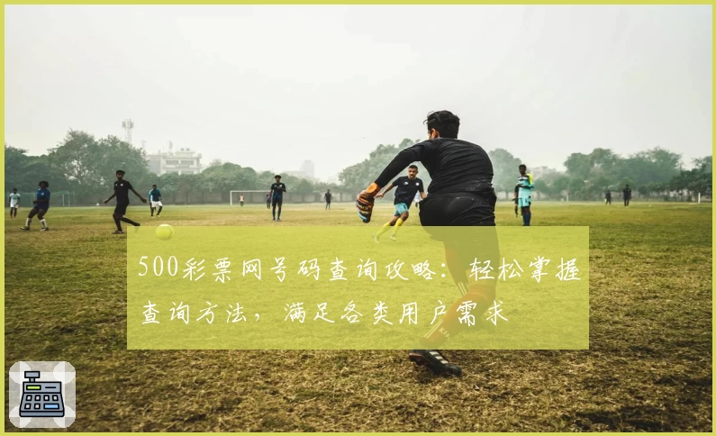500彩票网号码查询攻略：轻松掌握查询方法，满足各类用户需求