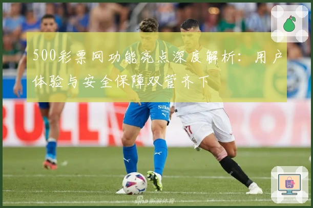 500彩票网功能亮点深度解析：用户体验与安全保障双管齐下