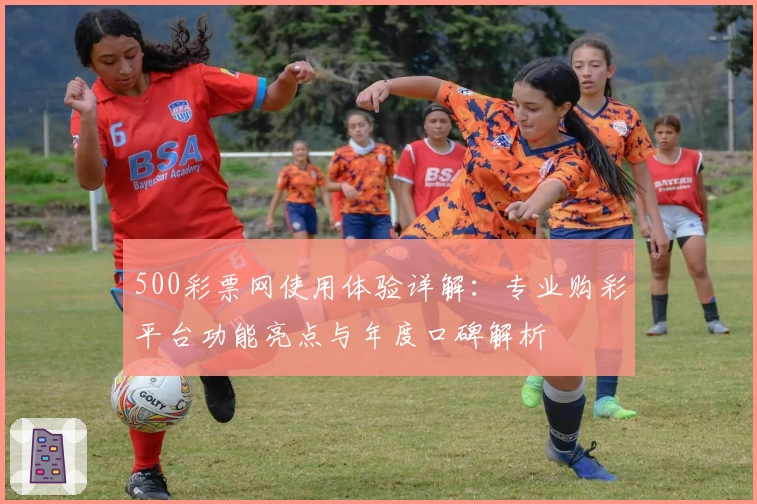 500彩票网使用体验详解：专业购彩平台功能亮点与年度口碑解析